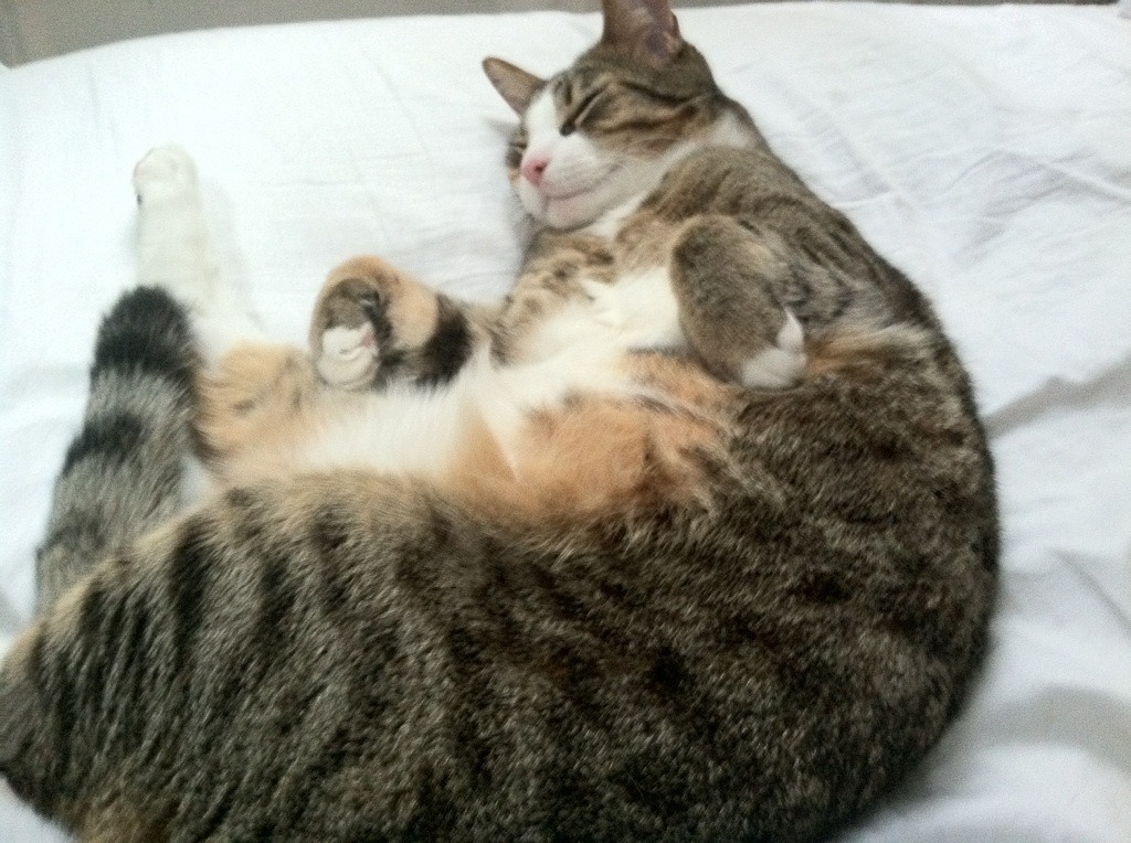 卡拉斯科教科书级演绎，亚特兰大攻势如潮冲垮毕尔巴鄂